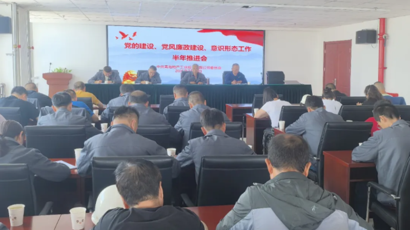 工投公司黨委召開(kāi)黨的建設(shè)、黨風(fēng)廉政建設(shè)、意識(shí)形態(tài)工作半年推進(jìn)會(huì)